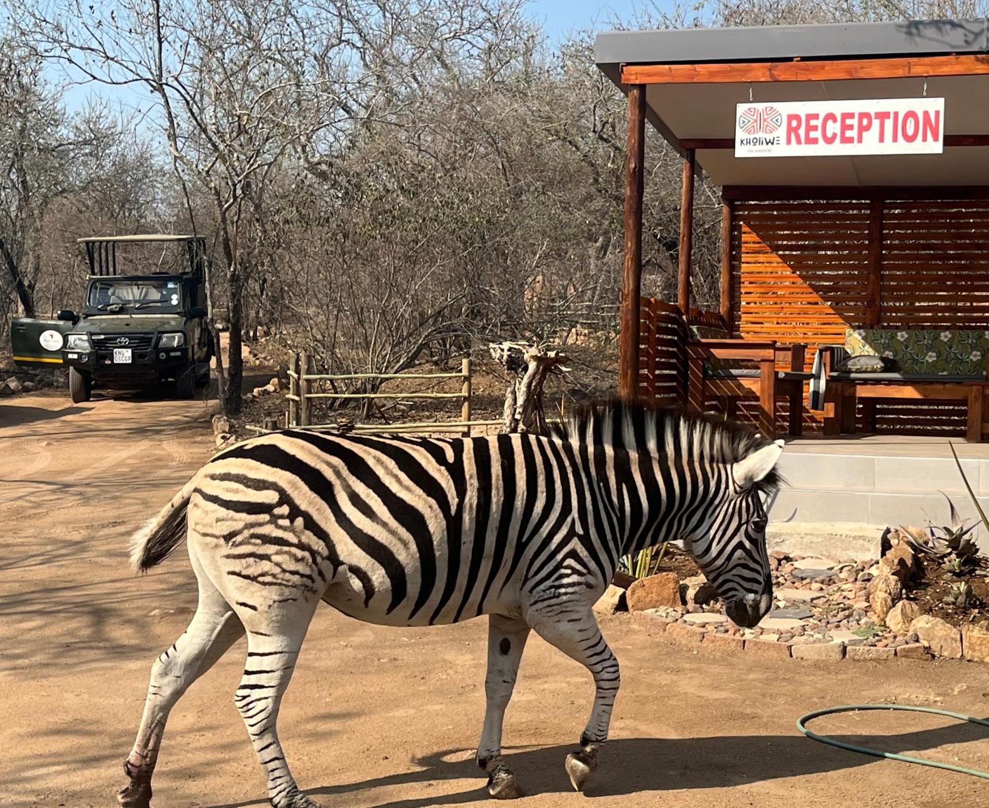 Kholiwe On Kruger Lodge & Safaris Marloth Park Exterior photo